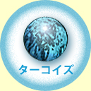 �^�[�R�C�Y
