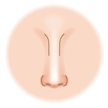 nose image right